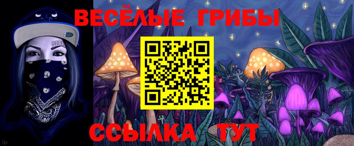 Галлюциногенные грибы Cubensis  Вход с VPN  Ангарск 
